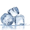 Frozen Foods Frozen Foods